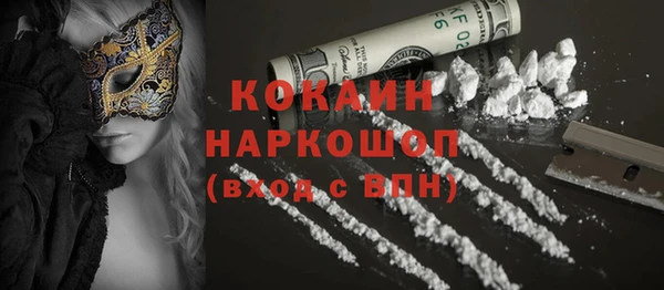дживик Богородск