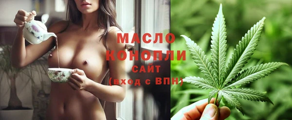 дживик Богородск