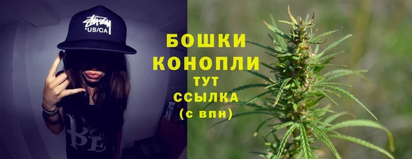 дживик Богородск