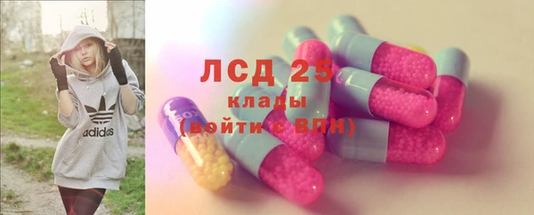 дживик Богородск