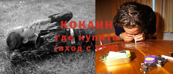 дживик Богородск