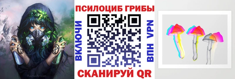 Псилоцибиновые грибы Psilocybine cubensis Козловка